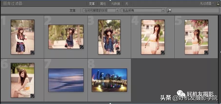 如何管理照片的技巧,照片太多了用什么软件整理