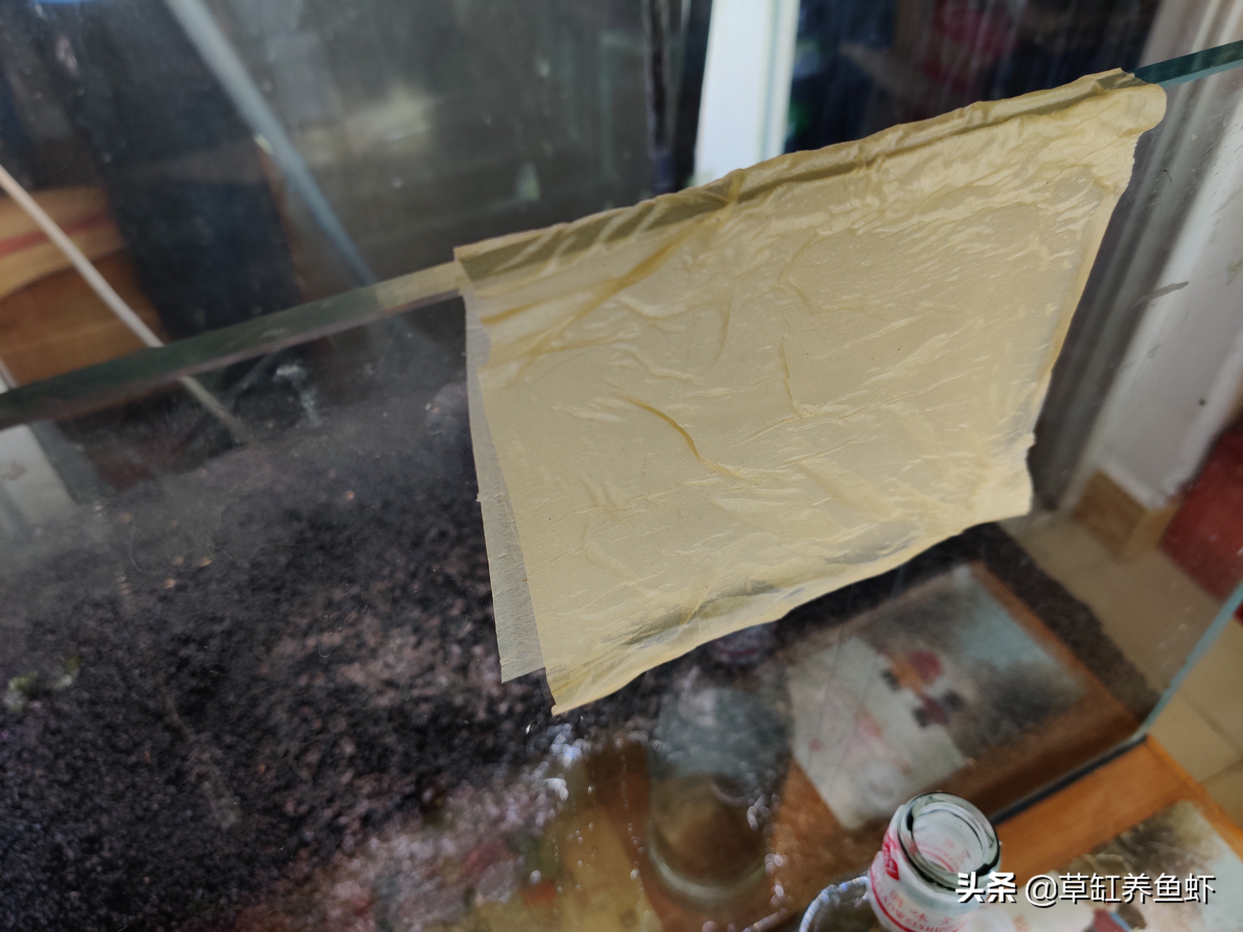 鱼缸水渍怎么调理,鱼缸水渍去除不伤鱼