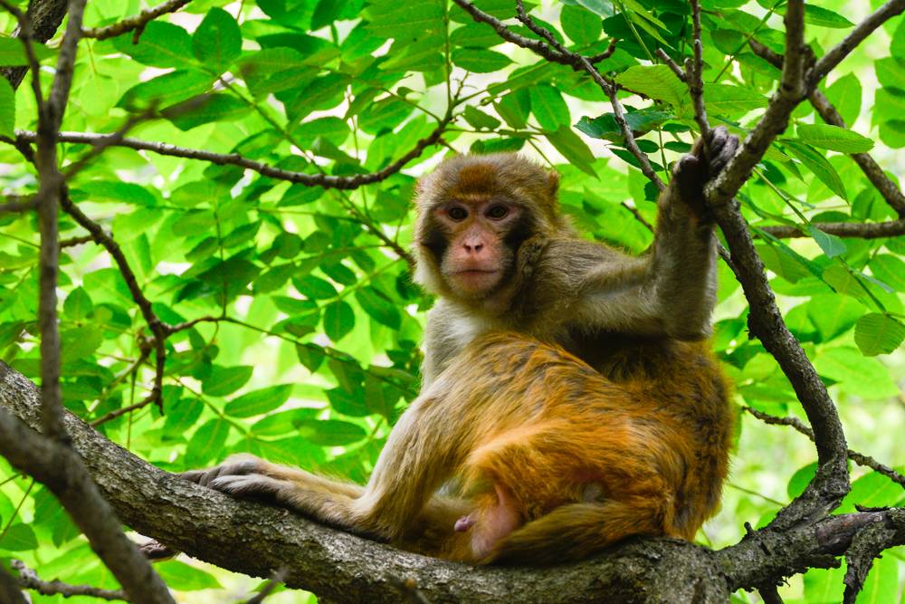 为什么成功的不是你？（《薪与酬》连载1）