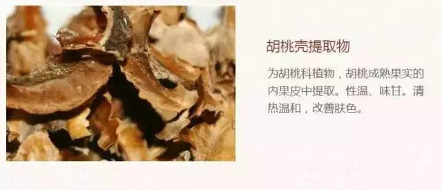 雪花秀润燥精华润致焕活精华肌底,雪花秀润燥精华和焕燥精华