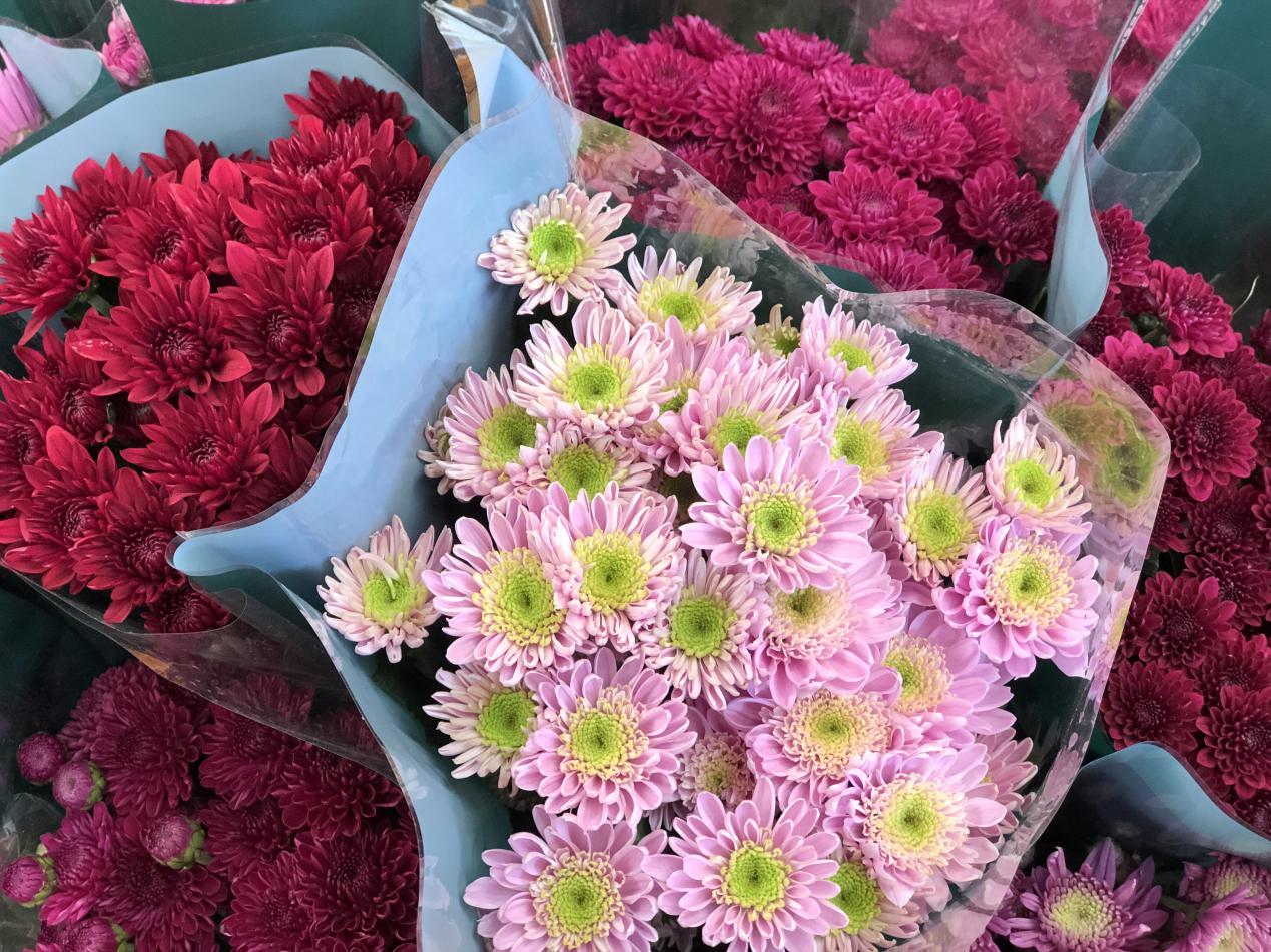 今年广州荔湾花卉市场,岭南花卉市场附近拆迁