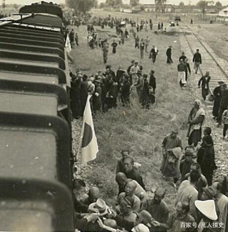 铁道游击队上部30集完整版免费看,铁道游击队上火车显身手