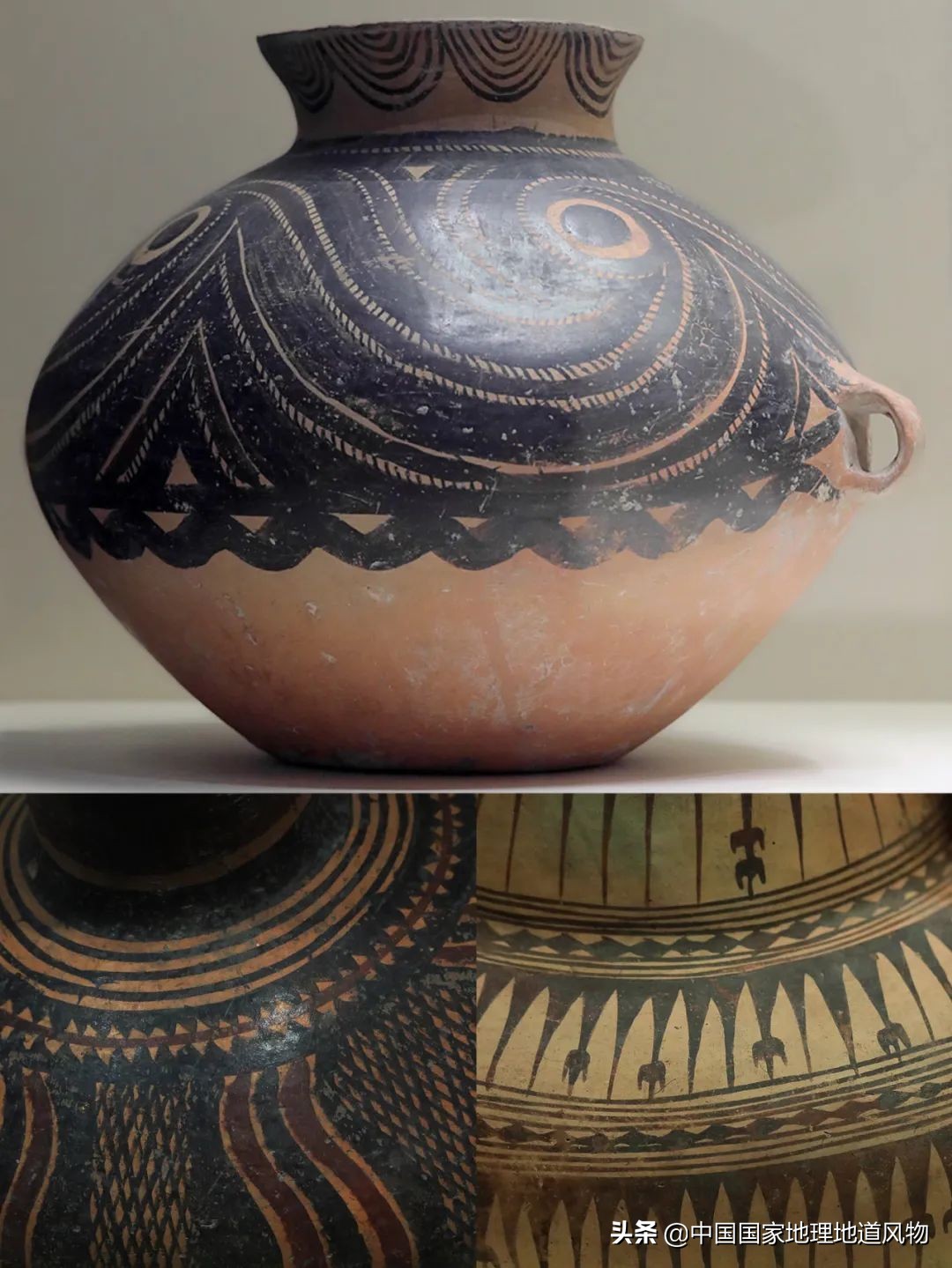 中国薯都地址在哪里,中国薯都为什么是定西