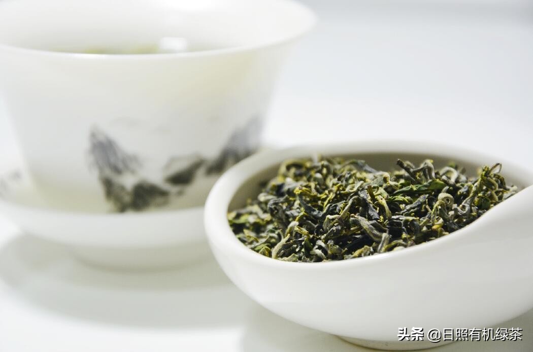 为什么日照绿茶春茶这么贵,日照绿茶秋茶来了