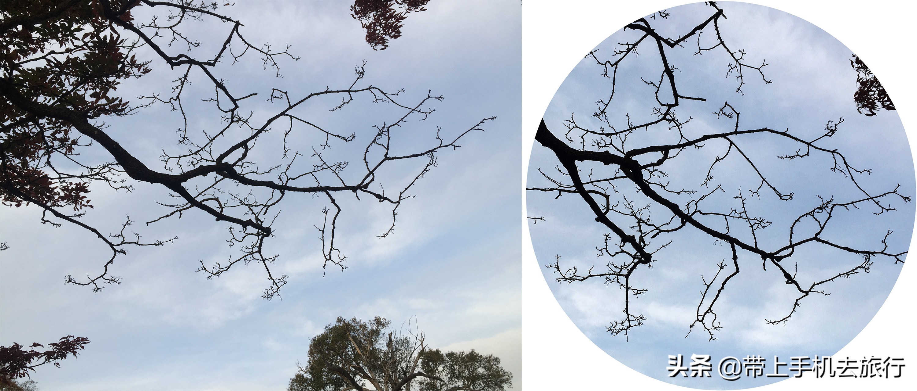 “减法”、虚化和“加法”，让画面瞬间干净简洁唯美