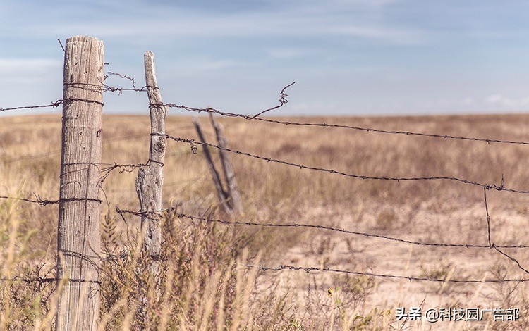 信息流广告投放和运营哪个有前途,信息流广告爆款分析