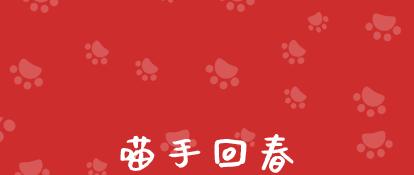 捡到猫咪受伤,捡到虚弱小猫咪该怎么办