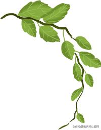 紧急通知诈骗手段详解,紧急通告骗子新套路