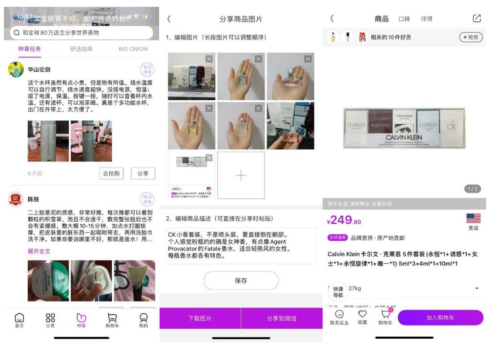 洋葱剥开一层又一层,剥开洋葱泪流不止
