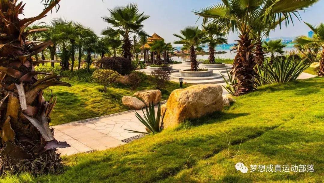 球队招募劲爆视频,正在举行的国际足球比赛