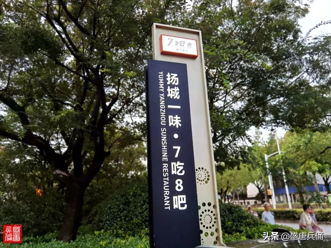 扬州｜垂杨不断接残芜，雁齿红桥俨画图