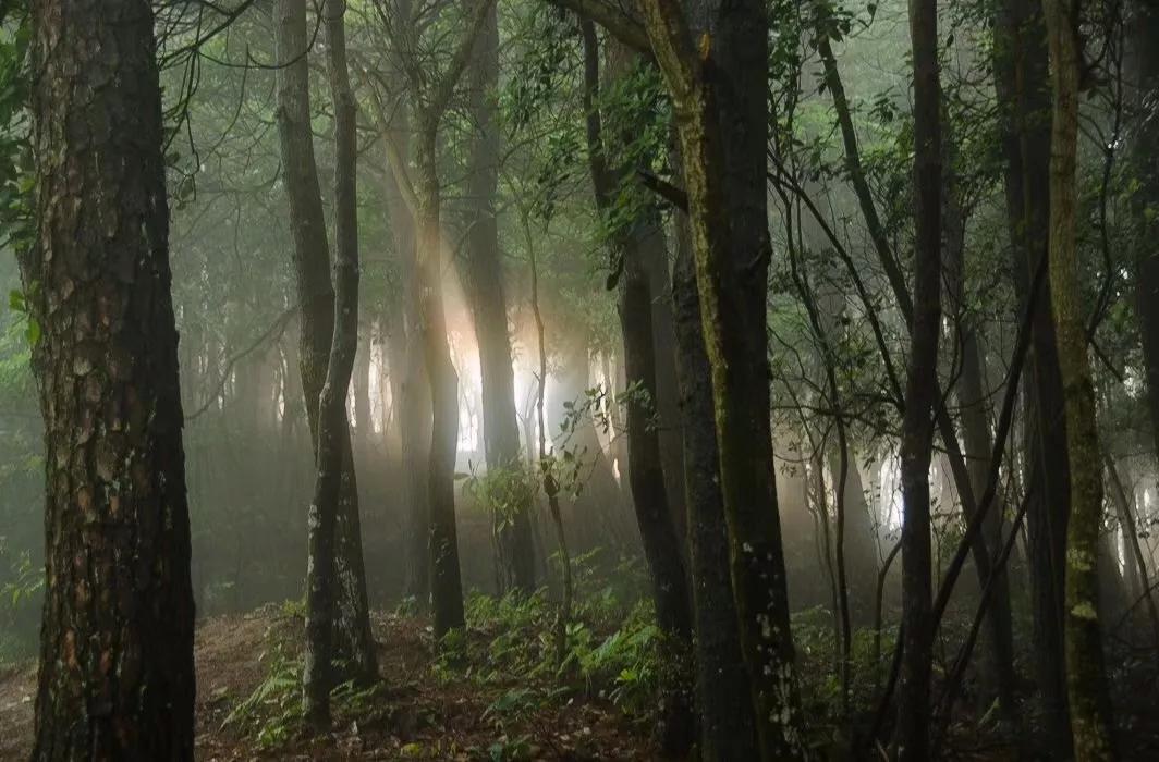 宁波避暑漂流景点有哪些,宁波夏季漂流