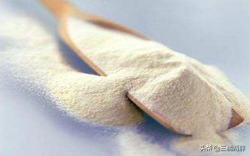 养法斗幼狗的注意事项,养法斗的经验