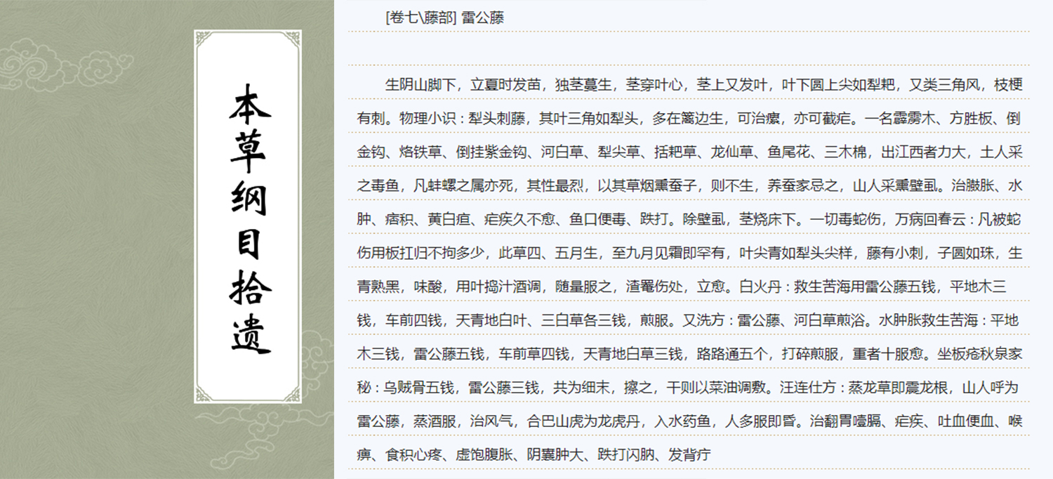 雷公藤治疗类风湿最好药,雷公藤是不是治风湿的