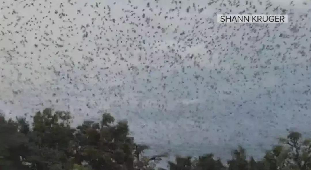 15岁怀孕，她被骗吃下*药炸**，一尸两命：有些人，这辈子不配为人