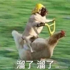 “2019年,我朋友圈的代购都疯了哈哈哈哈哈哈哈”