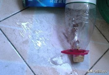 灭蟑螂的小窍门简单有效,如何快速灭蟑螂小窍门家庭