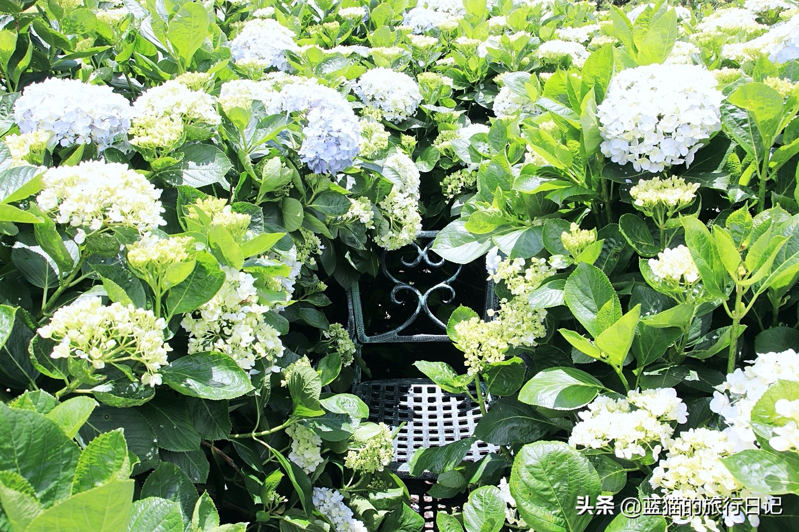 520最浪漫的旅游地,520浪漫出游地