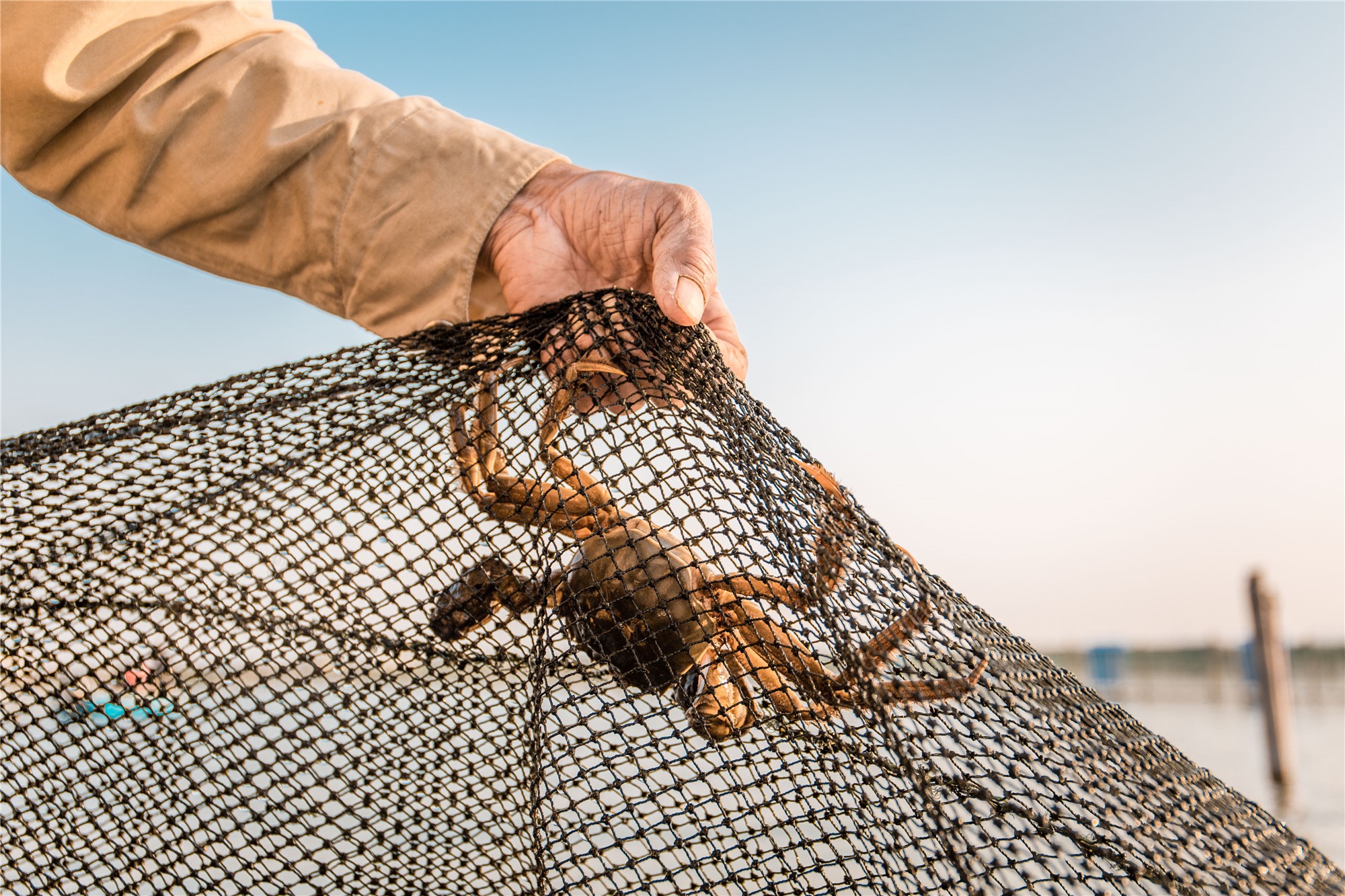 昆山出发二日游跟团游攻略,昆山吃大闸蟹一日游
