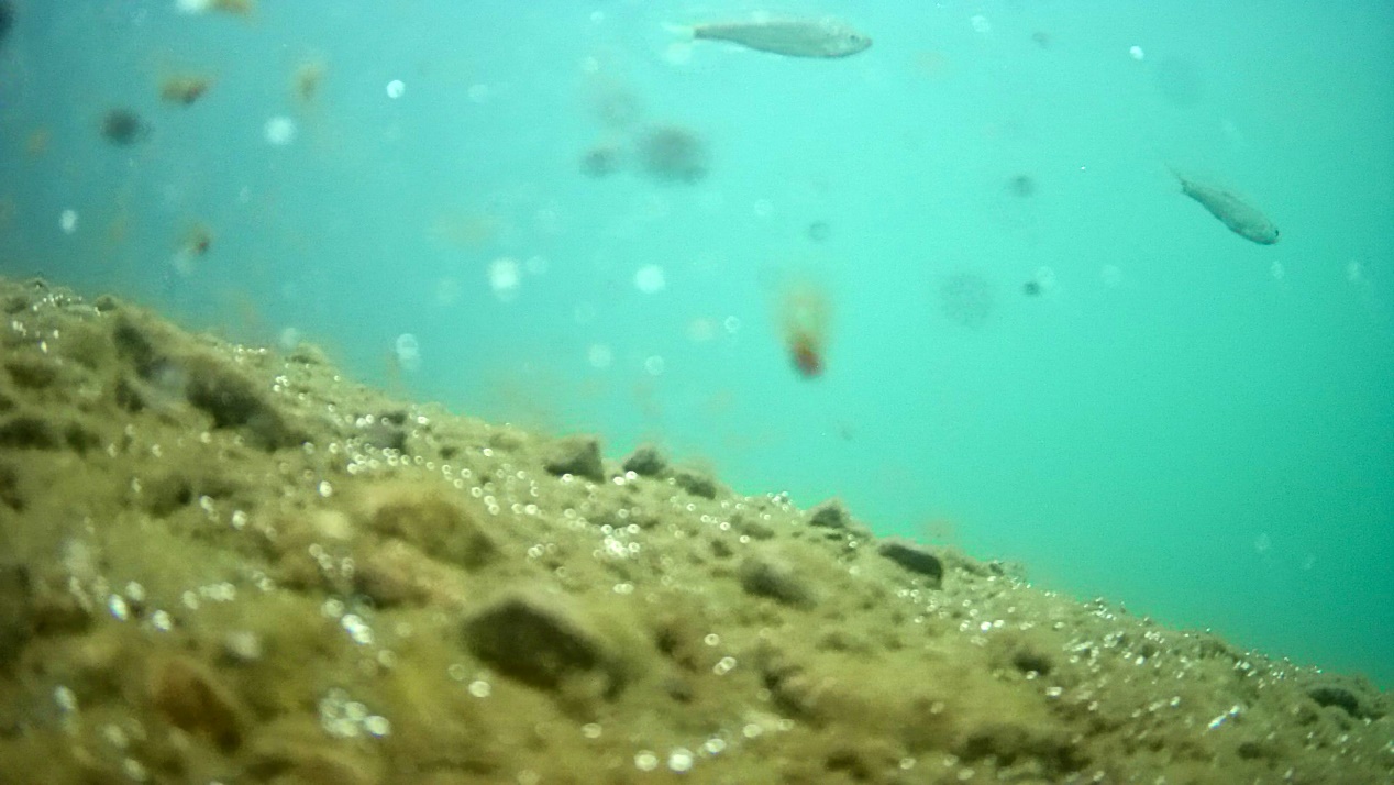 水下旅拍,水下摄影设备大疆