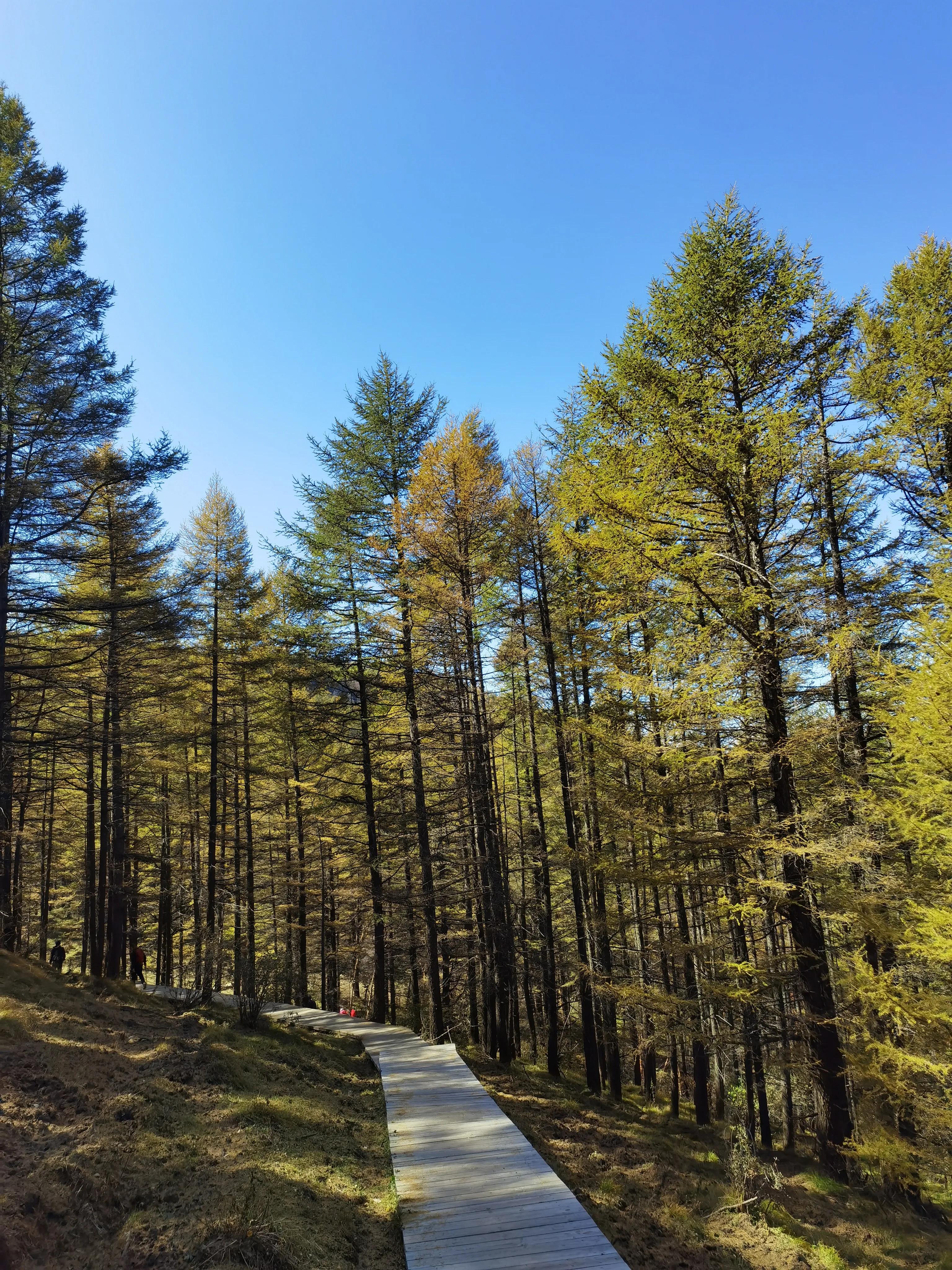 都知夏日驼梁美，秋季呢？阜平花塔村进山带您领略最美的秋日驼梁
