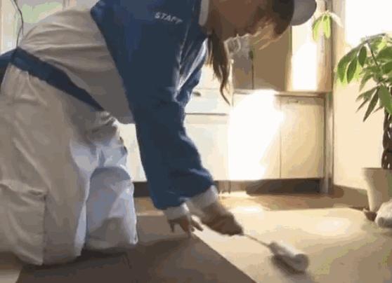 日本搬家服务真的很强,日本搬家公司的一条龙服务