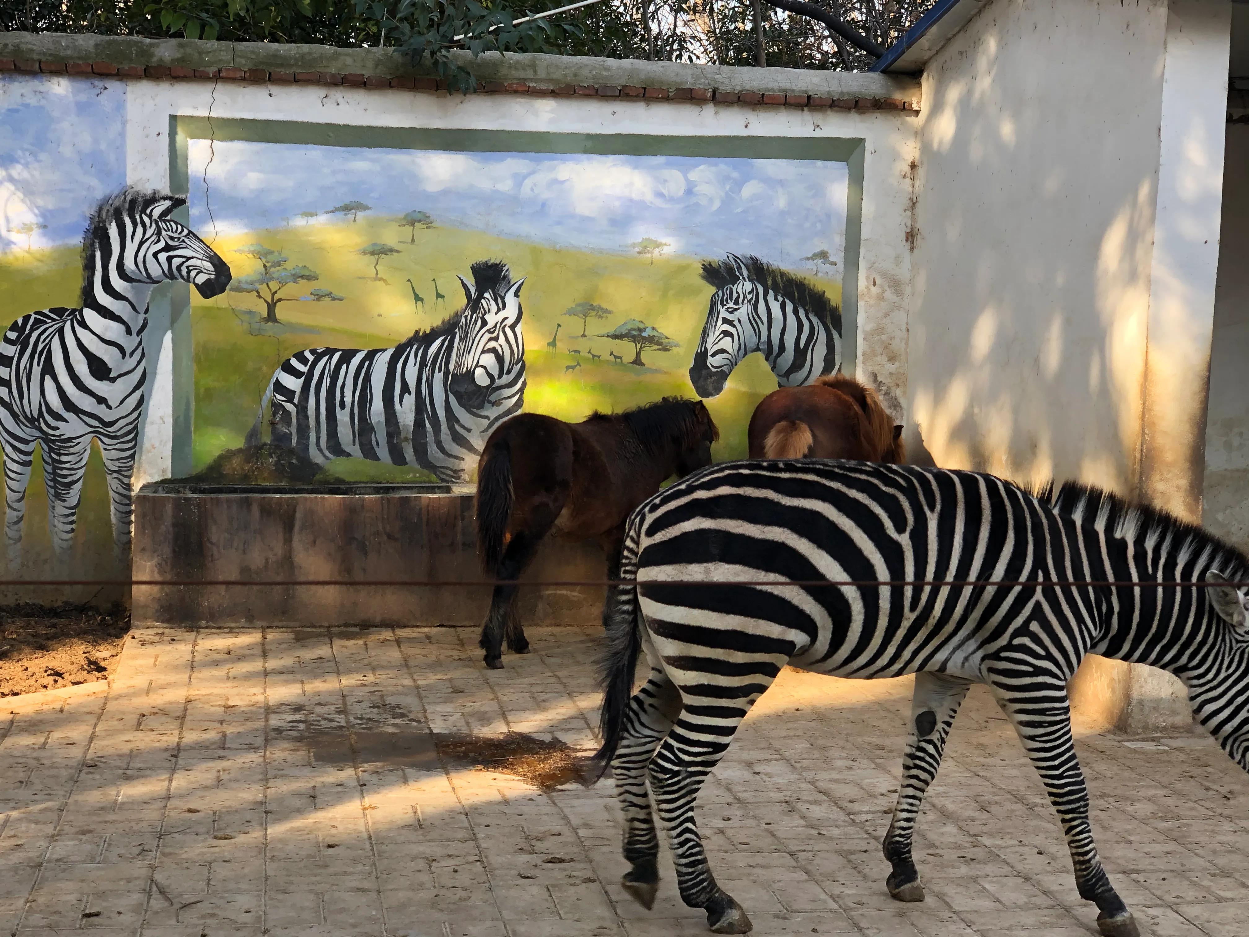 平顶山河滨公园旅游攻略,平顶山森林公园游记