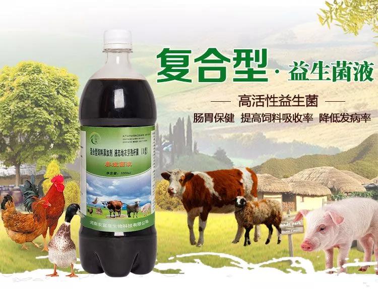 复合菌和益生菌哪个好,养殖专用益生菌的作用和功效