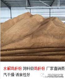 冠能老年猫粮和皇家老年猫粮,冠能的猫粮好还是渴望的猫粮好