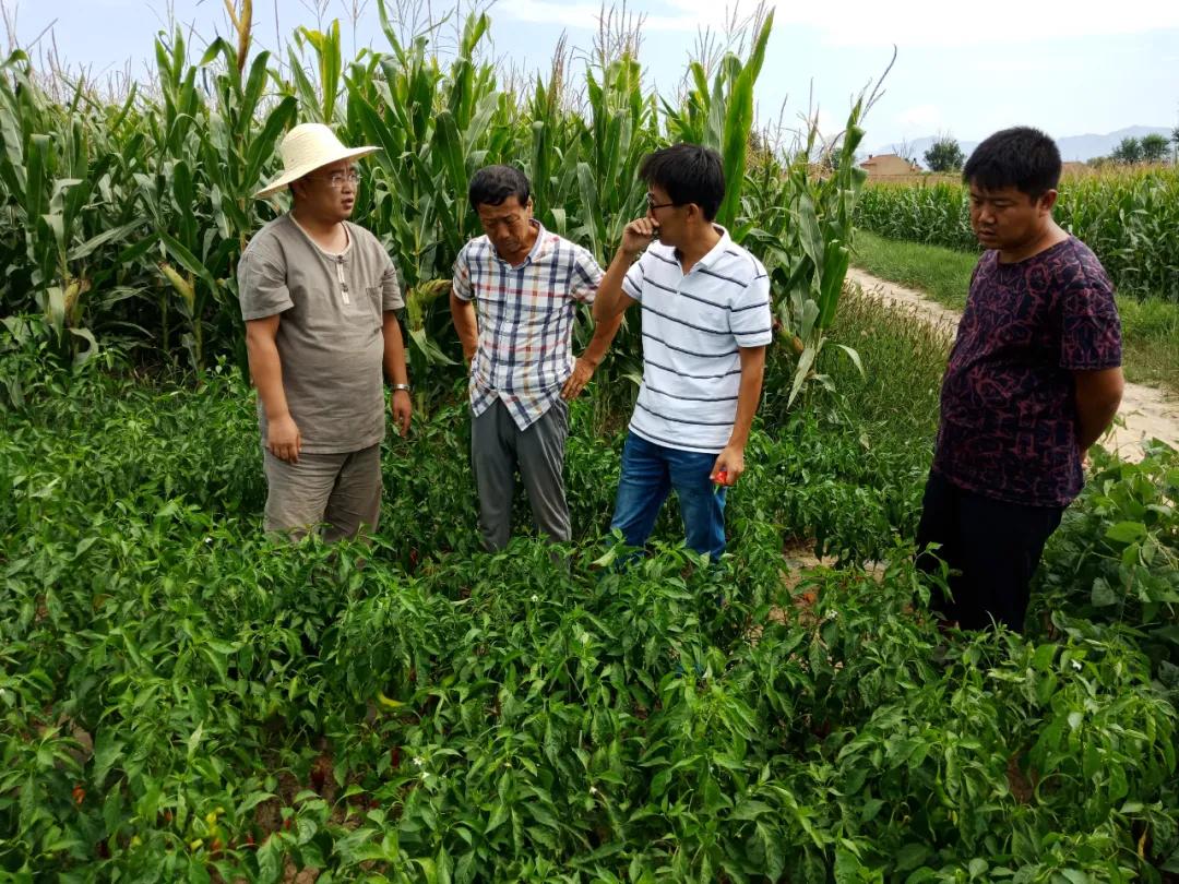 真好！一年挣一百多万元。阳原这个地方的人钱袋子鼓起来了