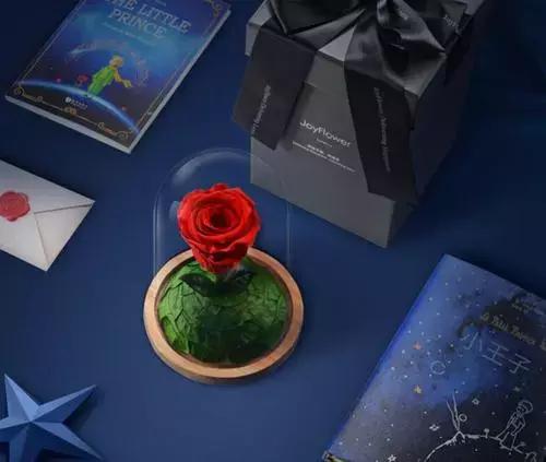 每一朵墨红玫瑰，都带着使命来到这个世界