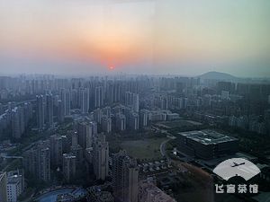 合肥朗廷酒店入住价格,朗廷合肥酒店