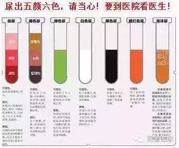 关于“检验报告”，这大概是最科学的一篇文章了