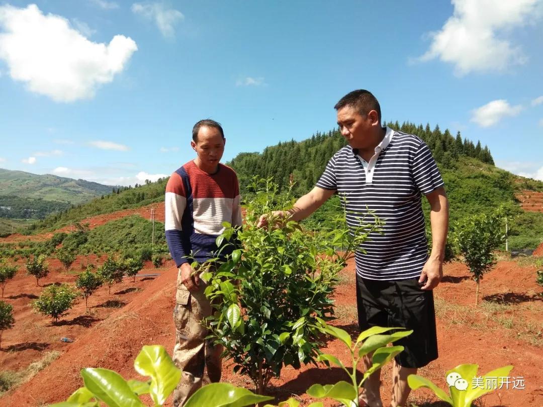 2019年,时光写就这样的开远