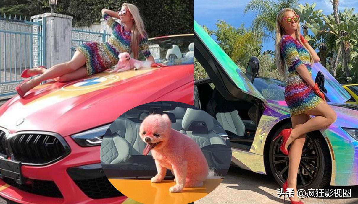 美国名媛家族,美国最大的名媛