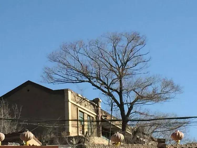 石拐岁月之上学那些事儿