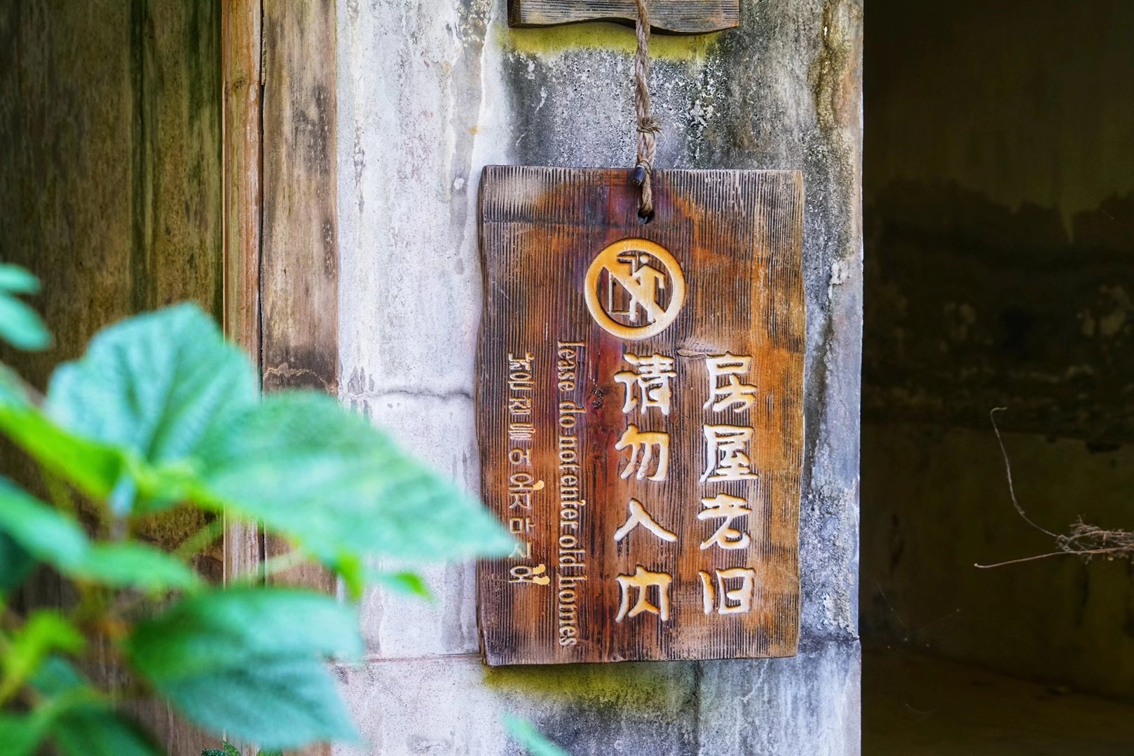 嵊泗旅游美食攻略,嵊泗攻略3天2夜美食推荐