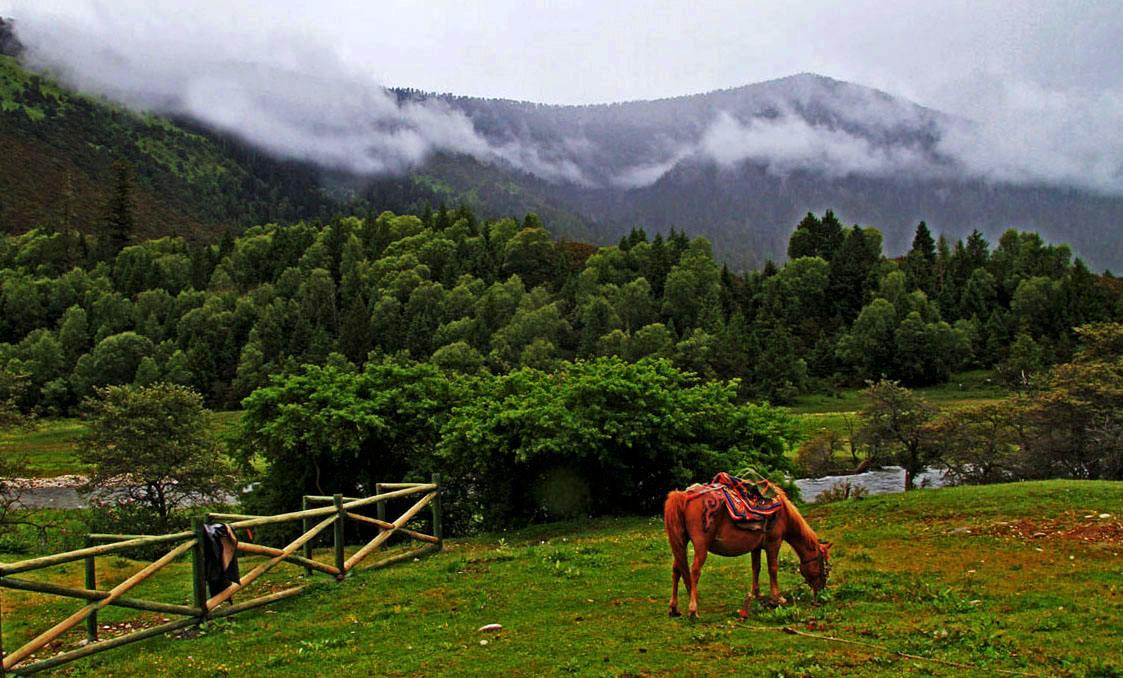 2月底林芝的风景,林芝春夏秋冬风景
