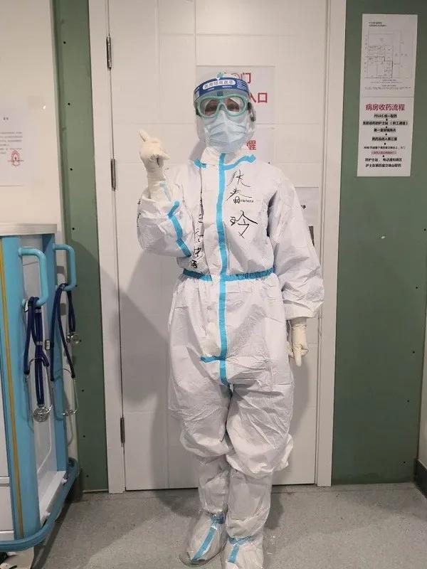 美丽迎春花开了,迎春花盛开的绝美春日盛景