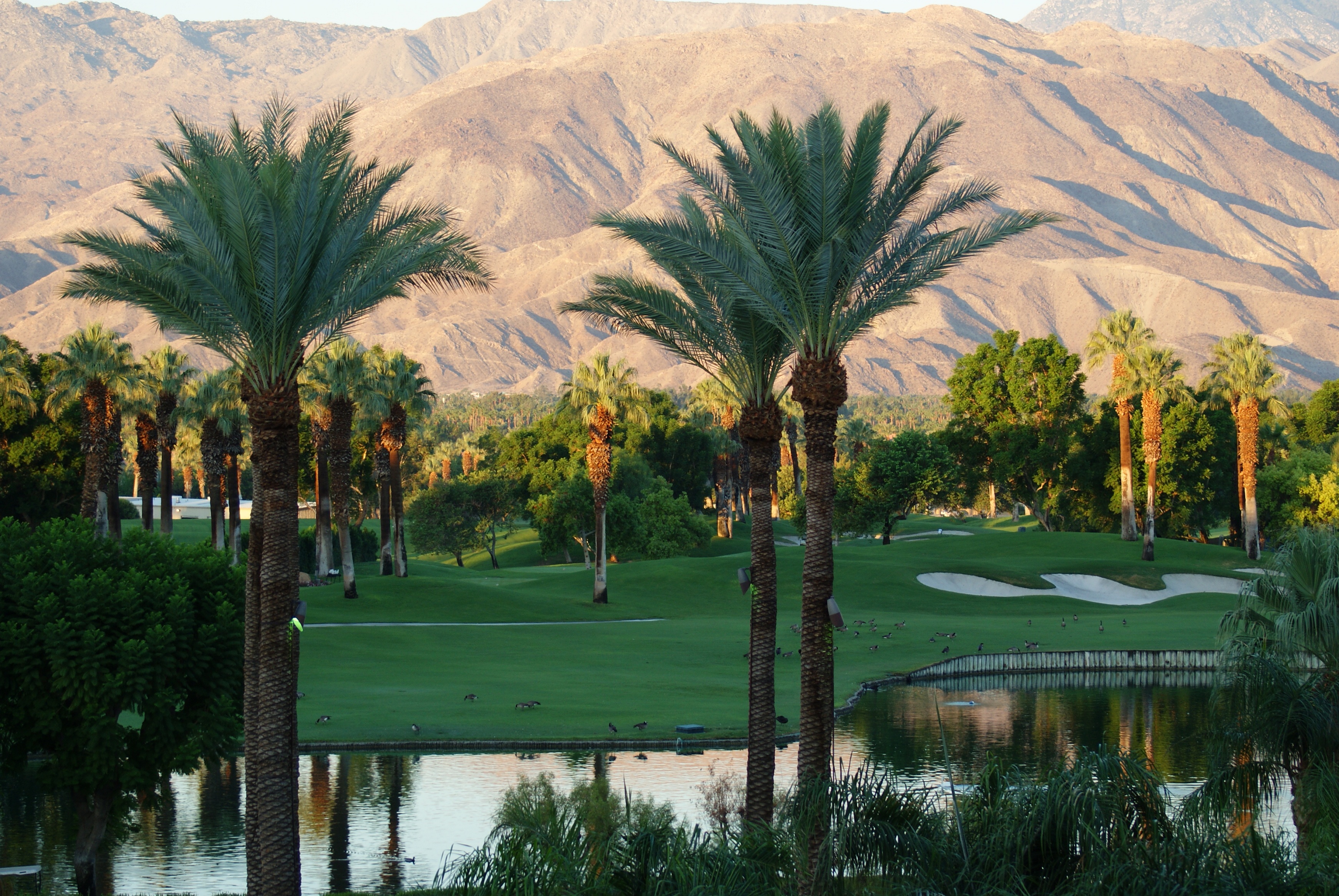 奥巴马卸任以后做什么工作,奥巴马卸任后做什么