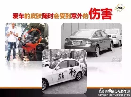 树油、虫尸、酸雨、紫外线……算个球