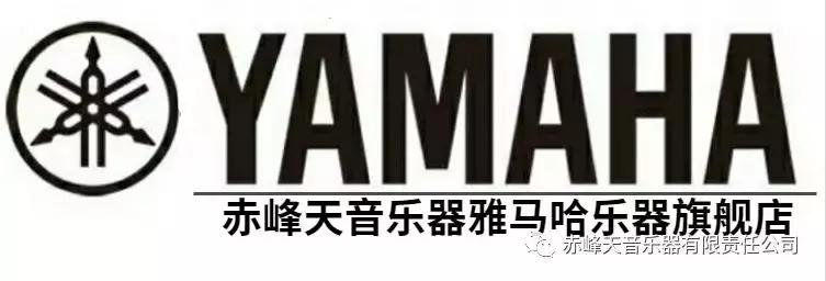 电子琴常用技巧,刚买的电子琴怎样使用