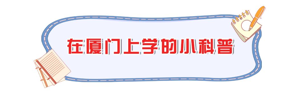 厦门买学区房好还是上私立好,厦门没买学区房能读公立学校吗