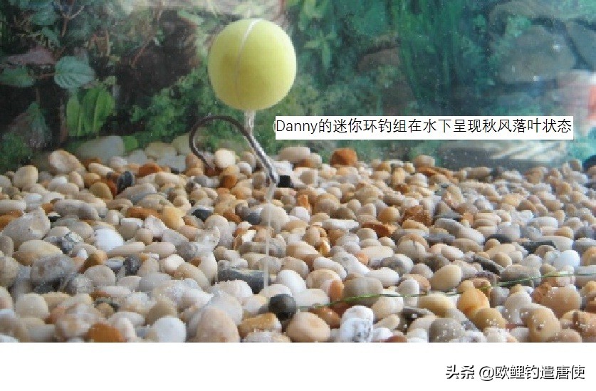 话说欧鲤钓最新消息,话说欧鲤钓鱼完整版