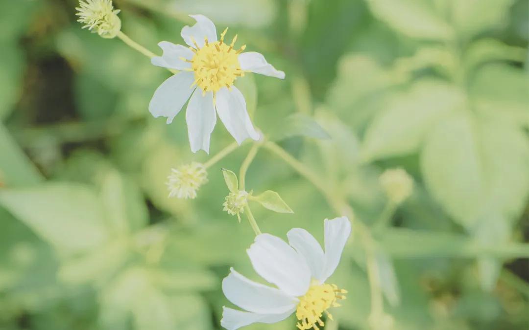 刁钻的问题和绝妙的回答值得一看,史上最刁钻的问题和最绝妙的回答