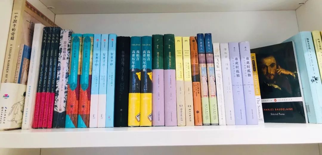 天津2021新开的店铺,天津新开的店铺