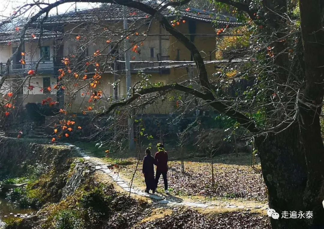 福州永泰：祖山之下第一村（上）
