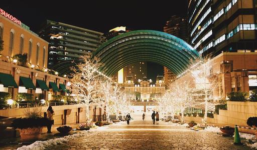 日本东京地铁攻略,日本东京旅游攻略景点大全