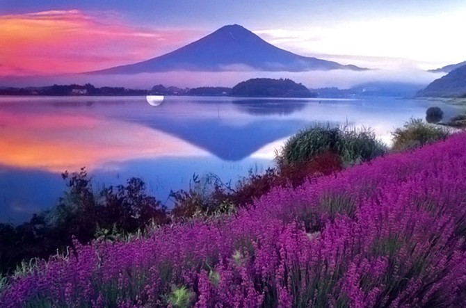 阿缘回忆录找到了吗,阿缘回忆录全集