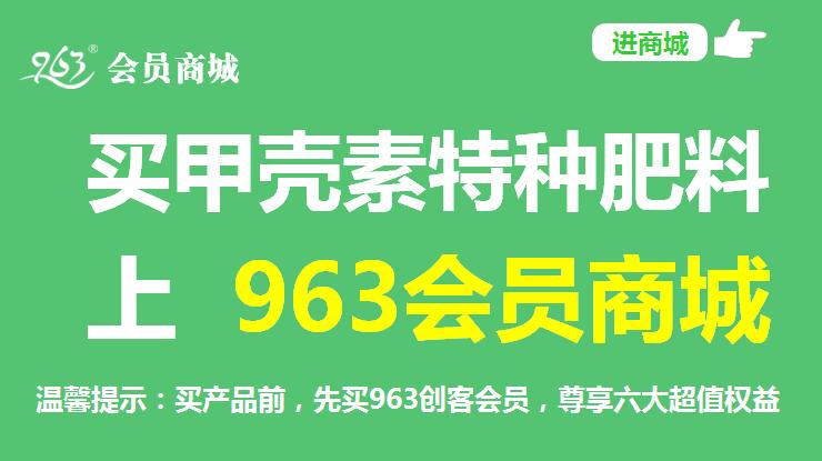 种植创业项目的愿景,种植行业创新创业